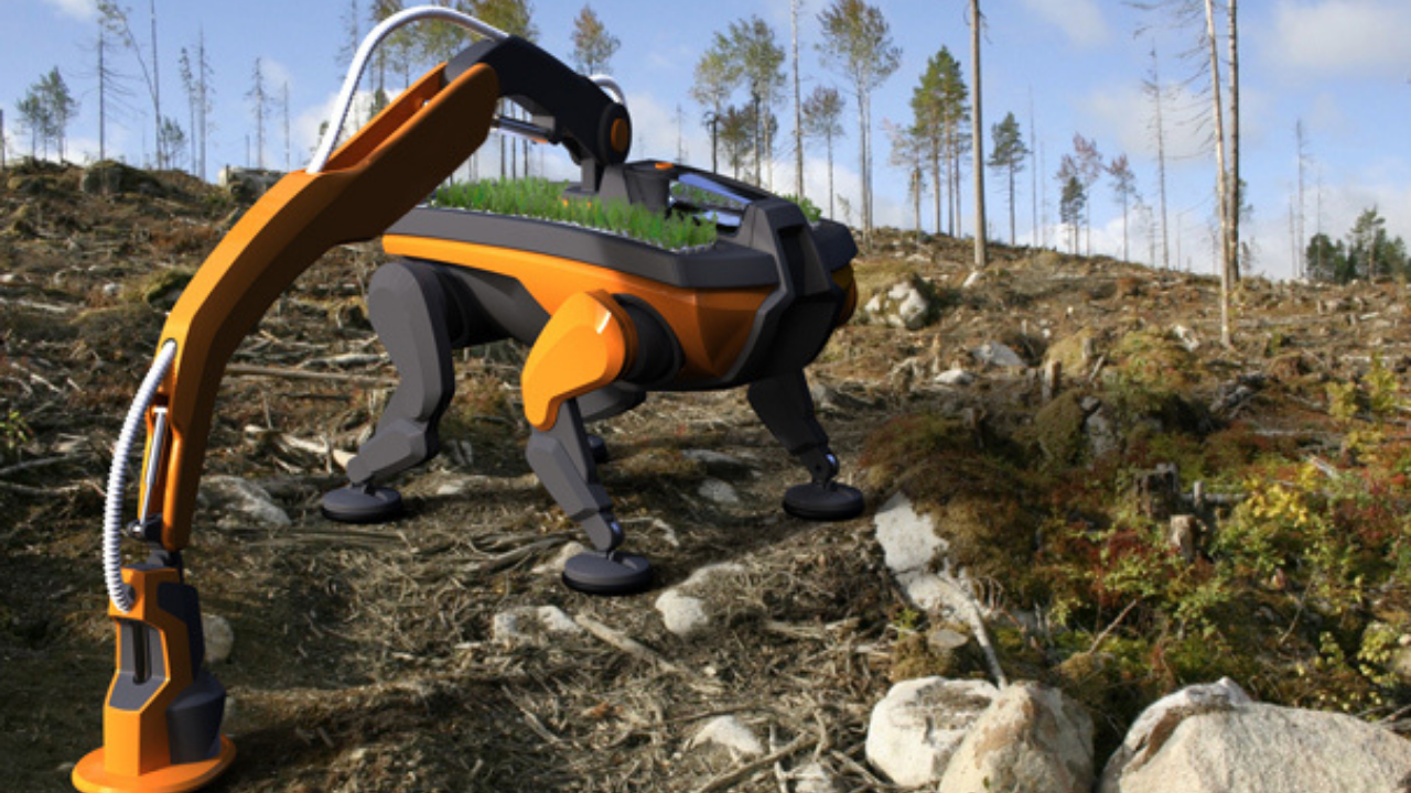 Rewolucja w rolnictwie: robot-pies wykorzystujący sztuczną inteligencję do monitorowania plonów.