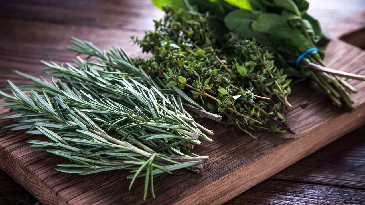 Trzy pachnące rośliny, które warto posadzić w lutym, żeby ogród wypełnił się przyjemnym zapachem.