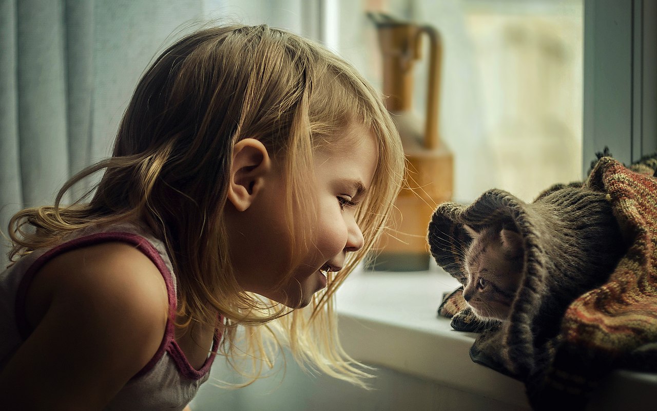 Ważna informacja od weterynarzy dla osób mieszkających z kotami i dziećmi.