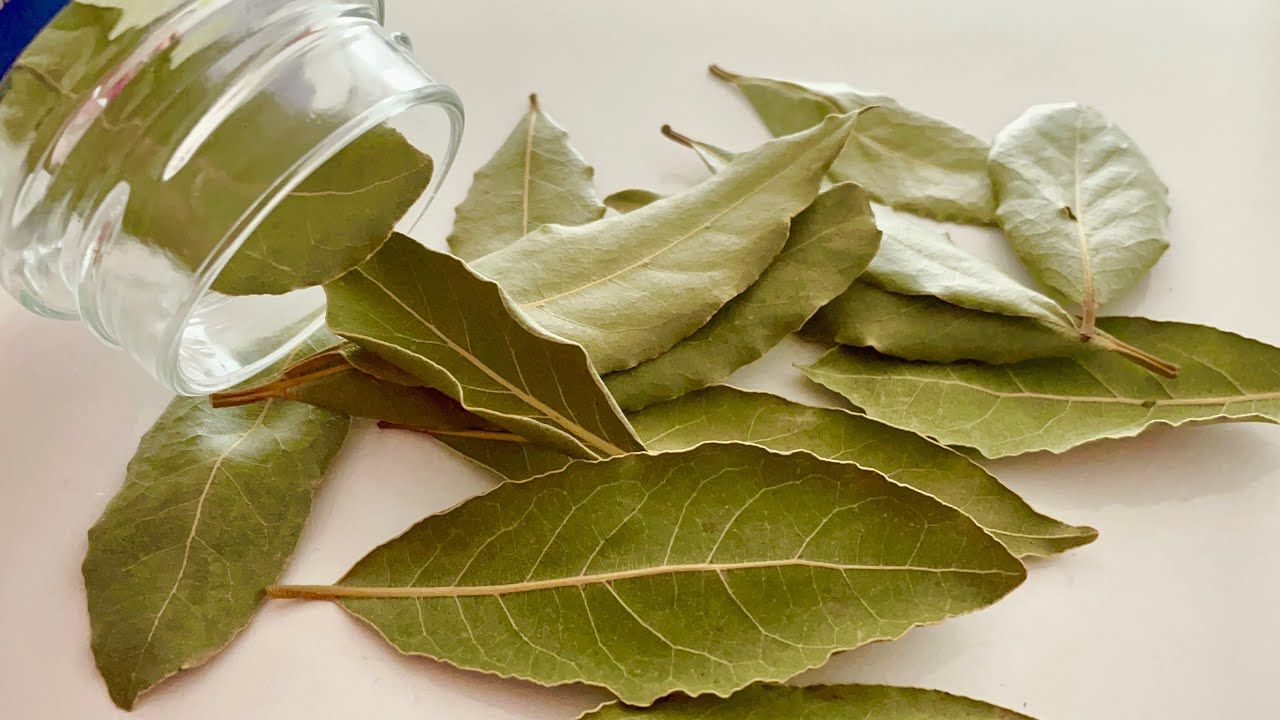 Mieszanie liści laurowych i detergentu: dlaczego jest to zalecane i dlaczego jest to korzystne.