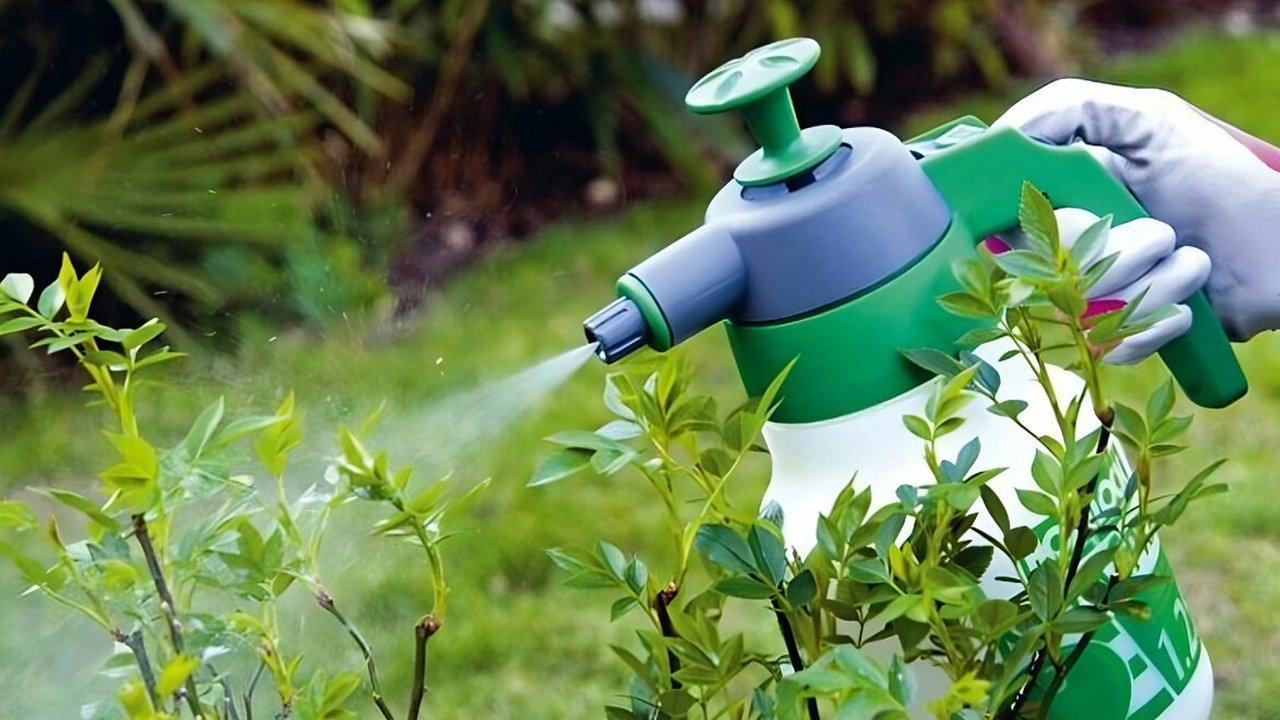 Opryskiwanie roślin octem: po co to robić i czemu warto.