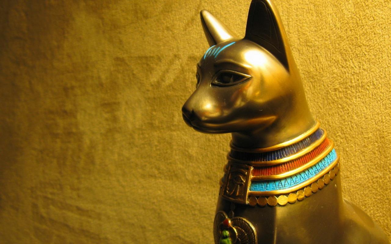 Czy naprawdę w starożytnym Egipcie czczono koty? Co pokazują badania dotyczące stosunku do nich w starożytności?