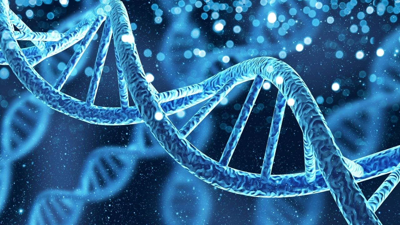 Geny mogą decydować o długości życia, niezależnie od tego, jak zdrowy tryb życia prowadzisz.