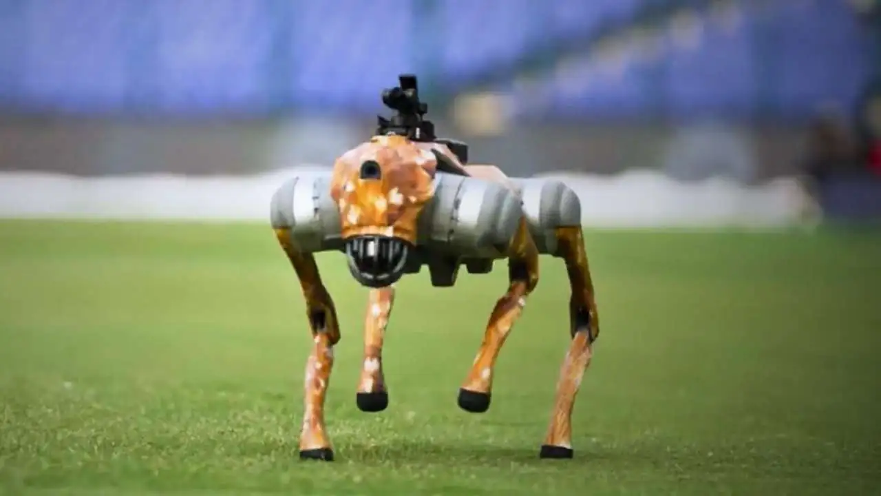 Są to roboty-psy, które będą zapewniać bezpieczeństwo podczas mistrzostw świata w piłce nożnej w 2026 roku.