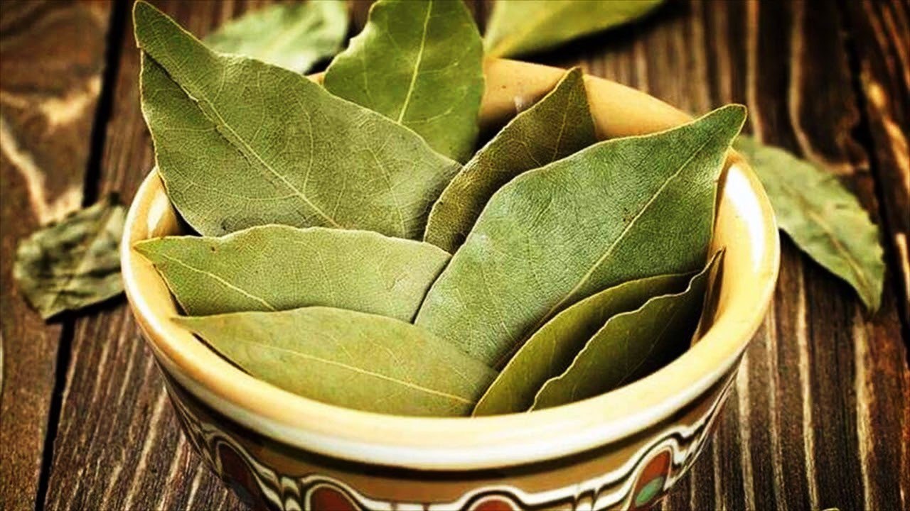 Mieszanie liści laurowych i detergentu: dlaczego jest to zalecane i dlaczego jest to korzystne.