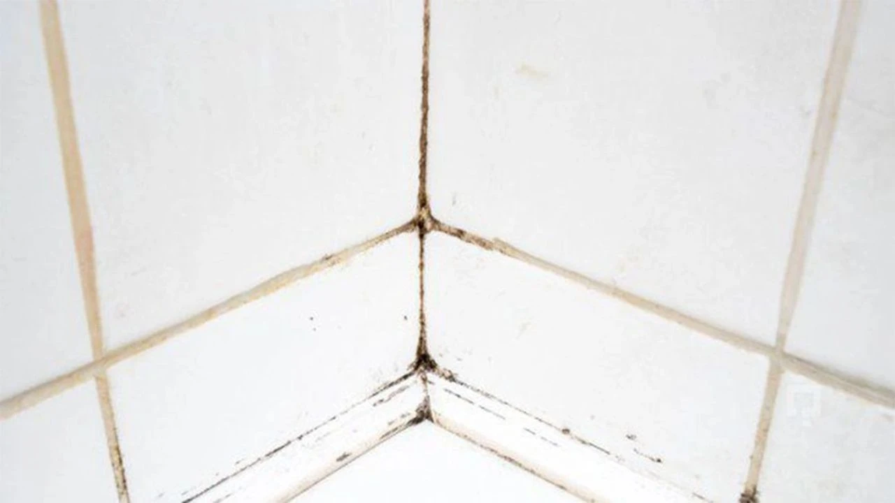 Ten środek szybko i skutecznie usuwa pleśń z fug między płytkami.