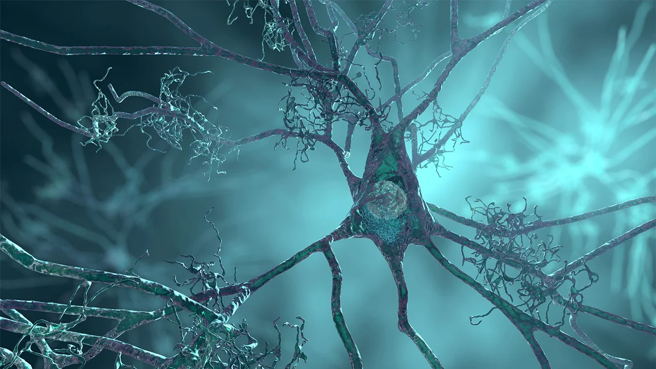 Badania wykazały, że nacisk wywierany przez guzy mózgu może prowadzić do nieodwracalnego uszkodzenia neuronów.