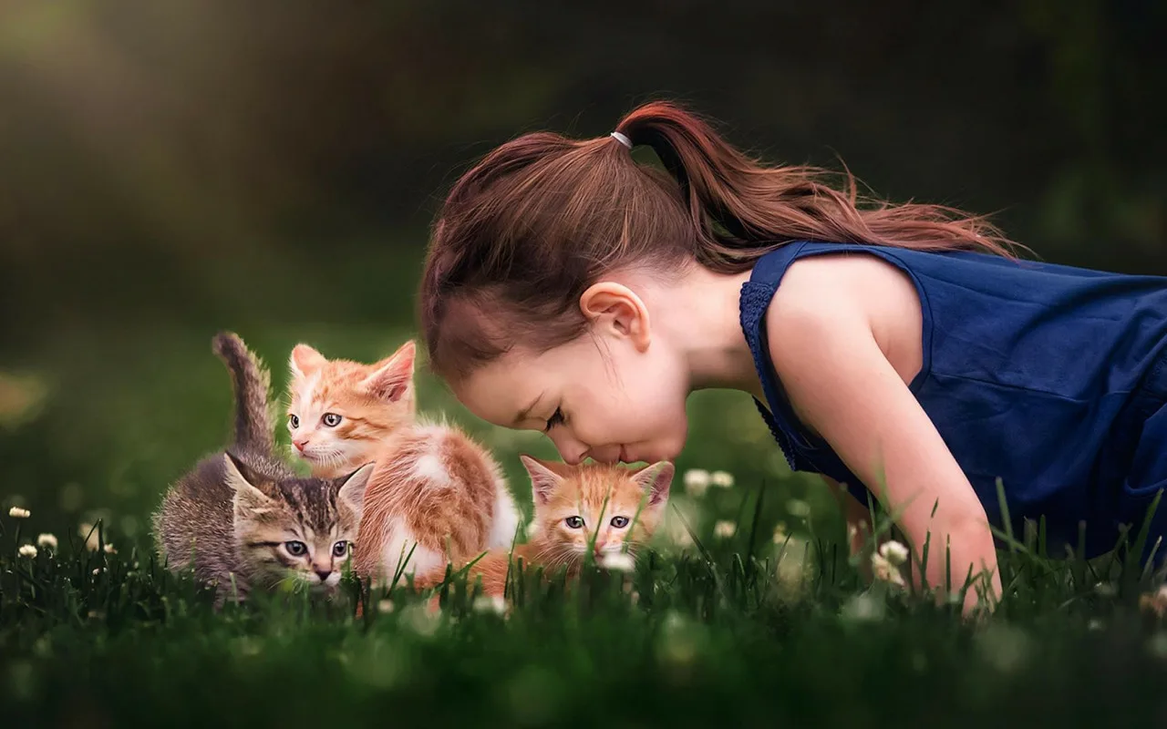 Ważna informacja od weterynarzy dla osób mieszkających z kotami i dziećmi.