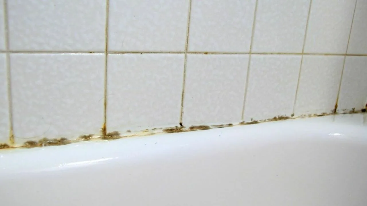 Ten środek szybko i skutecznie usuwa pleśń z fug między płytkami.