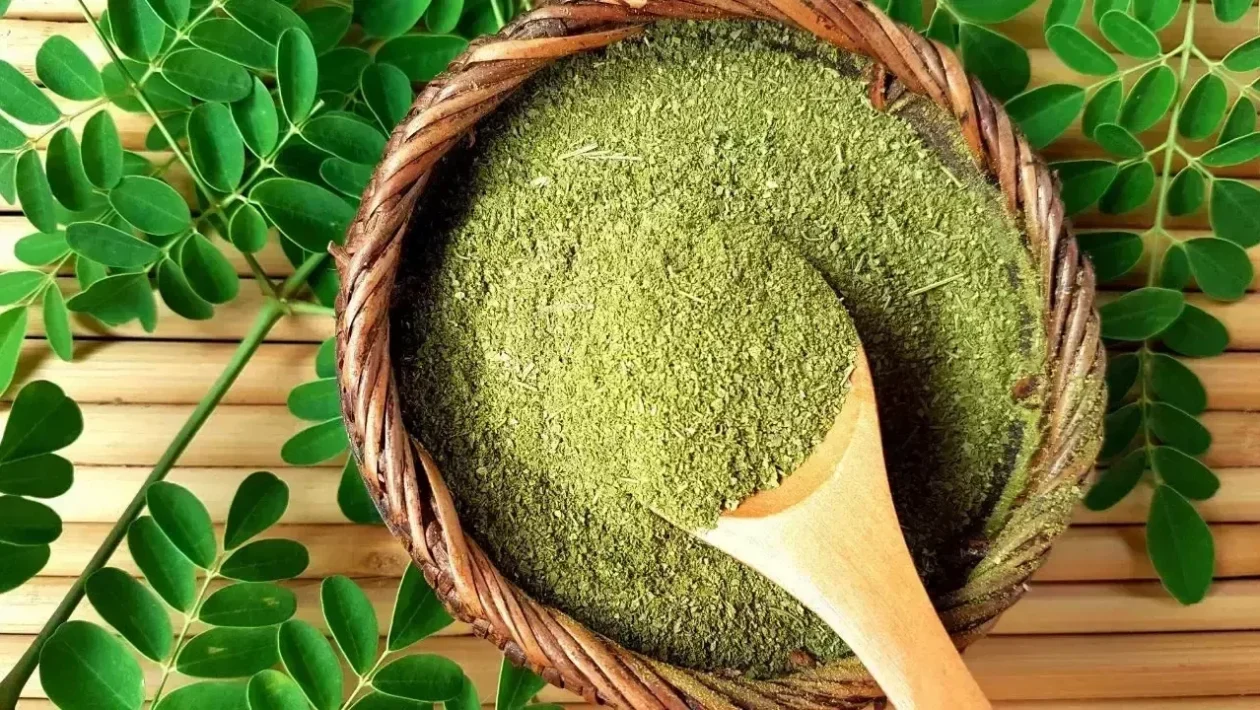 Moringa