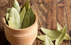 Mieszanie liścia laurowego i detergentu: dlaczego jest to zalecane i do czego jest przydatne.