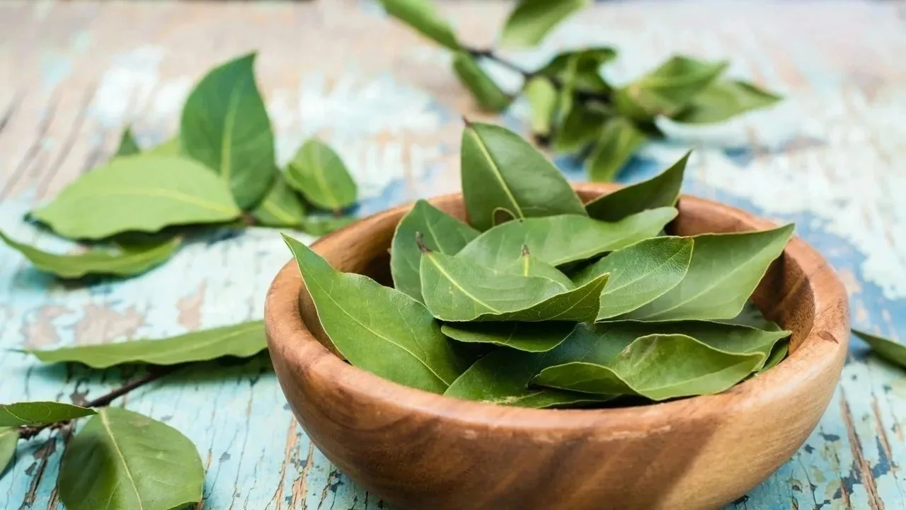 Gotowanie plasterków ogórka z liściem laurowym: jakie są zalety i jak to stosować, zdaniem ekspertów.