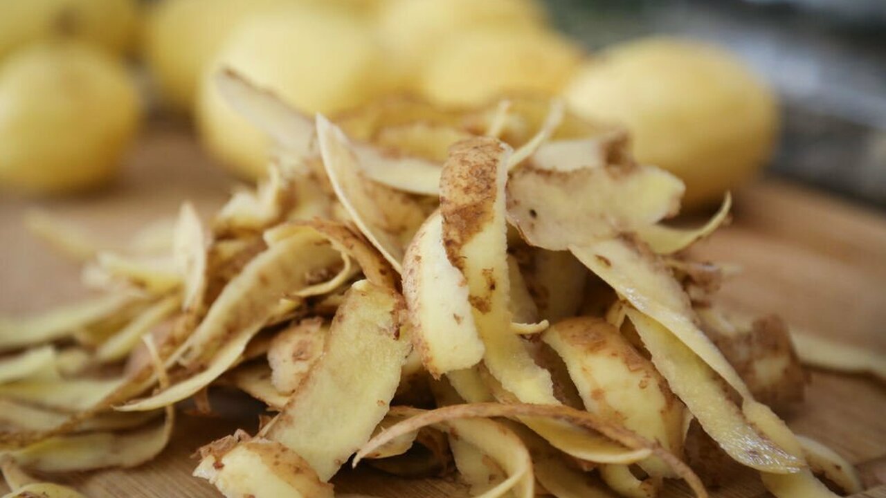 Domowy nawóz: jak przygotować organiczny nawóz z obierków ziemniaczanych.