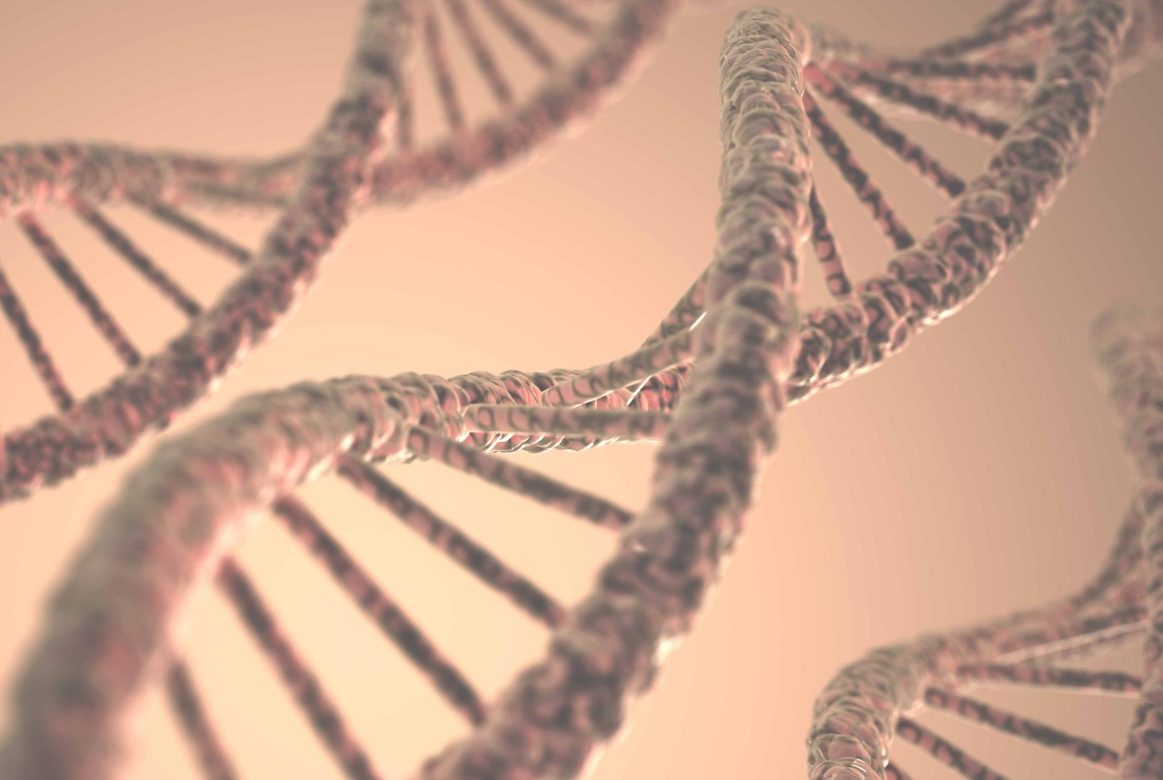 Bezprecedensowy przełom naukowy: szwedzcy naukowcy z powodzeniem wyodrębnili DNA zwierzęcia, które wyginęło 130 lat temu.