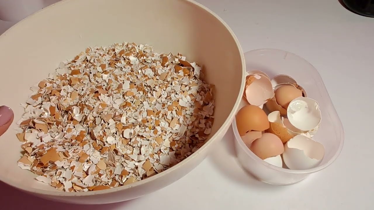 Jak włożyć skorupkę jajka do termosu do mate: po co to robić i kiedy.