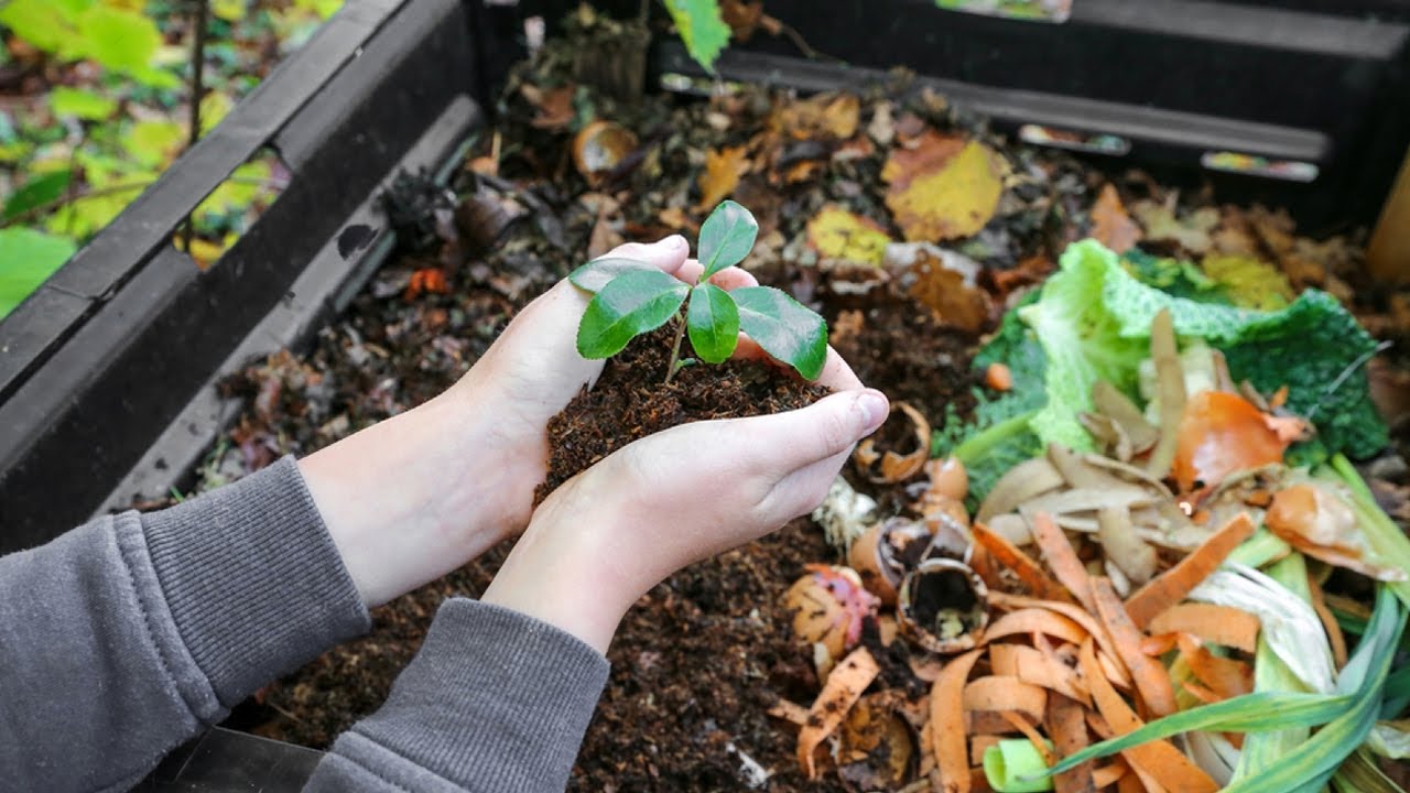 Jak zrobić kompost w domu i dlaczego Twoje rośliny zauważą to już w pierwszym miesiącu.