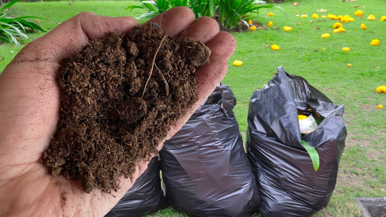 Jak zrobić kompost w domu i dlaczego Twoje rośliny zauważą to już w pierwszym miesiącu.