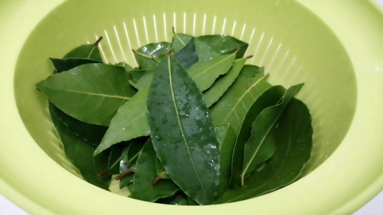 Mieszanie liści laurowych ze środkiem czyszczącym: dlaczego jest to zalecane i do czego służy.