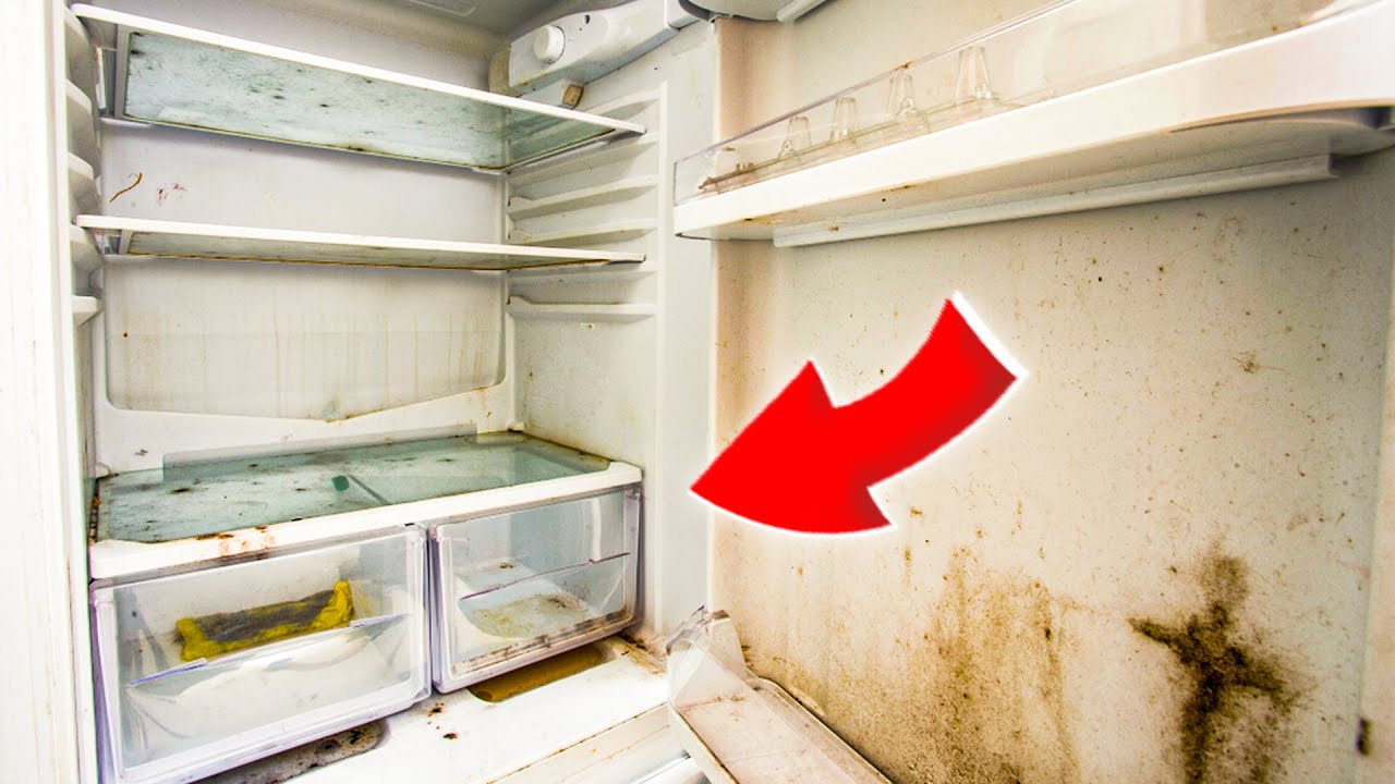 Jak prawidłowo czyścić lodówkę zgodnie z instrukcjami producenta.