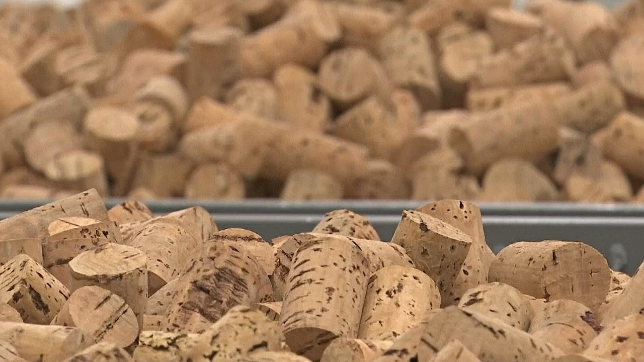 Perché vale la pena conservare il tuo tappo usato: 3 modi per dare nuova vita al tuo tappo.