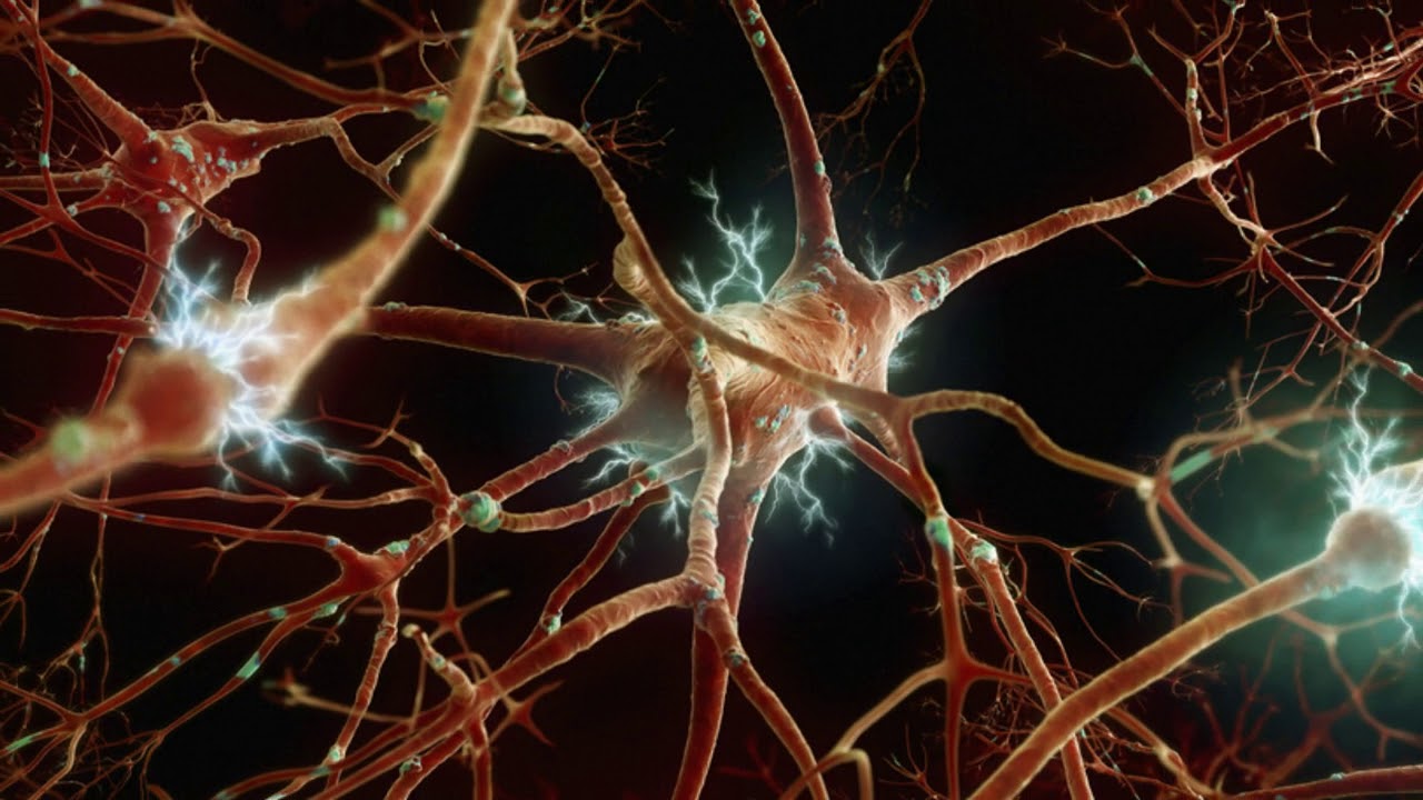 Badania wykazały, że nacisk wywierany przez guzy mózgu może prowadzić do nieodwracalnego uszkodzenia neuronów.