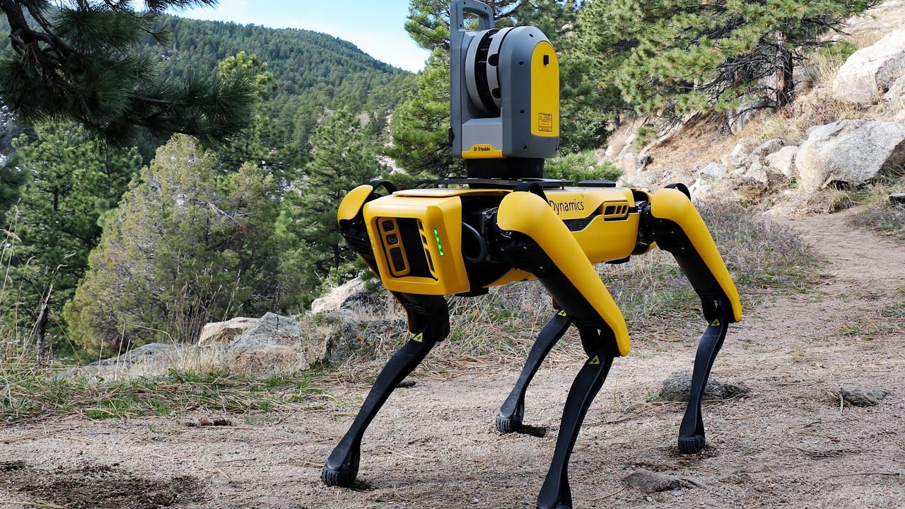 Rewolucja w rolnictwie: robot-pies wykorzystujący sztuczną inteligencję do monitorowania plonów.