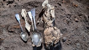 Wbijanie starych łyżek w ziemię pod roślinami: dlaczego jest to zalecane