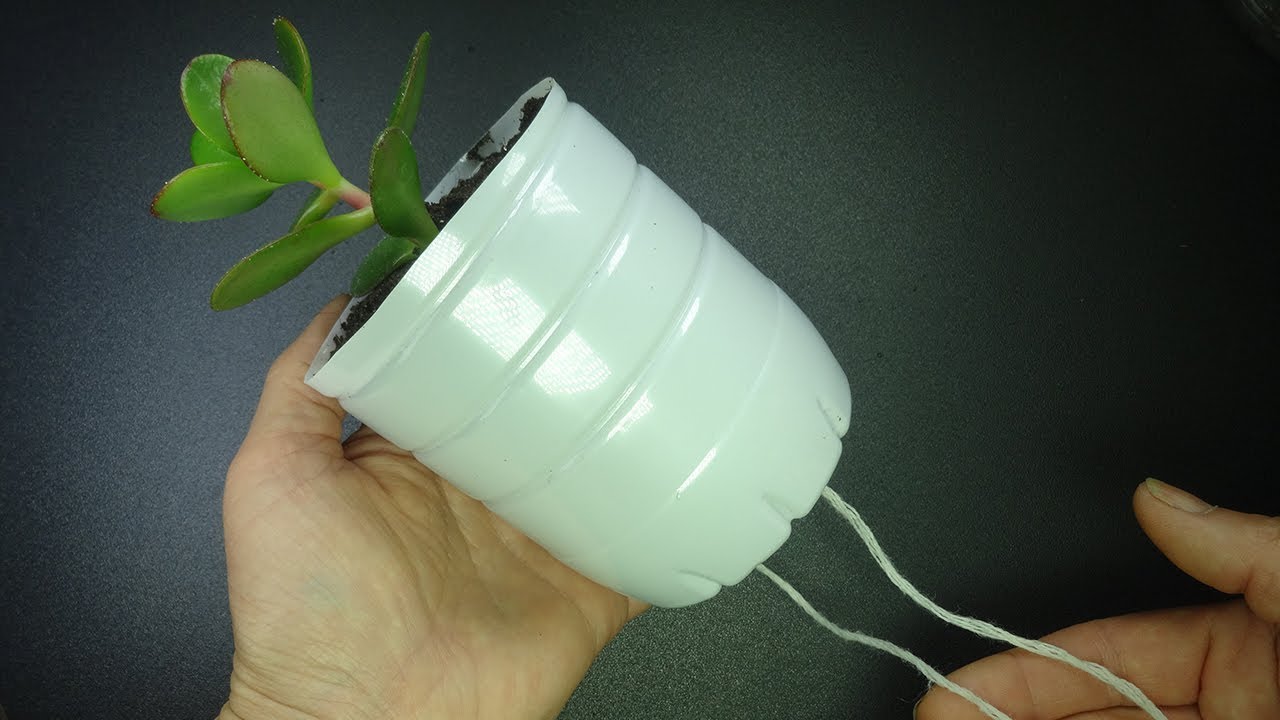 Metoda podlewania knotowego, która zapobiega wysychaniu roślin w pomieszczeniach o niskiej wilgotności.