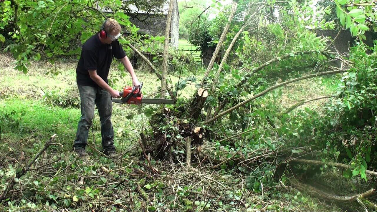 Od marca właściciele domów, których drzewa lub żywopłoty znajdują się w odległości mniejszej niż dwa metry lub 50 cm od sąsiedniej działki, są zobowiązani do ich przycięcia, w przeciwnym razie grożą im kary.