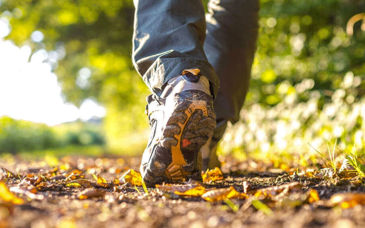 Chodzenie czy jazda na rowerze: co jest lepsze dla zwiększenia wytrzymałości i zmniejszenia masy ciała?
